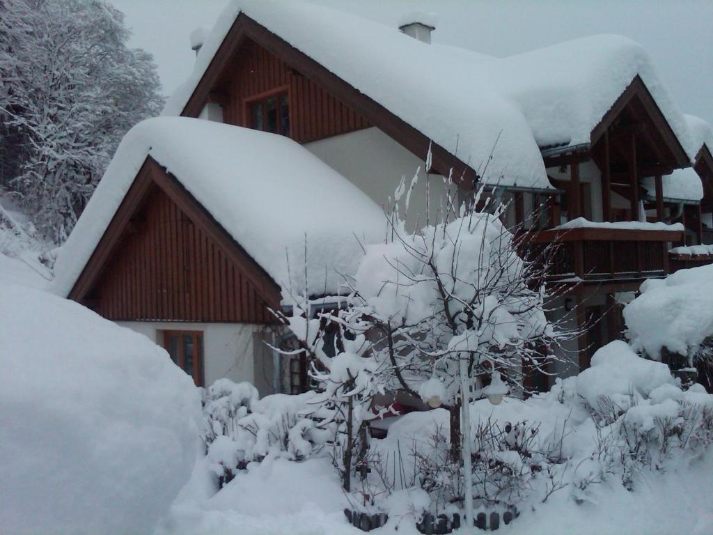 Ferienhaus Waldsicht Flachau Buitenkant foto